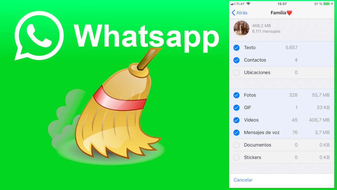 delete specific file types from WhatsApp chats on iPhone or android