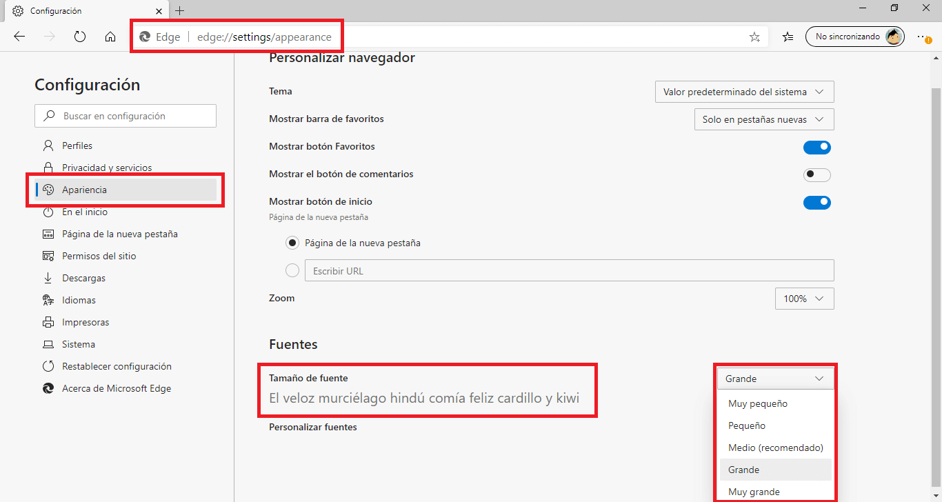 resize text in microsoft edge