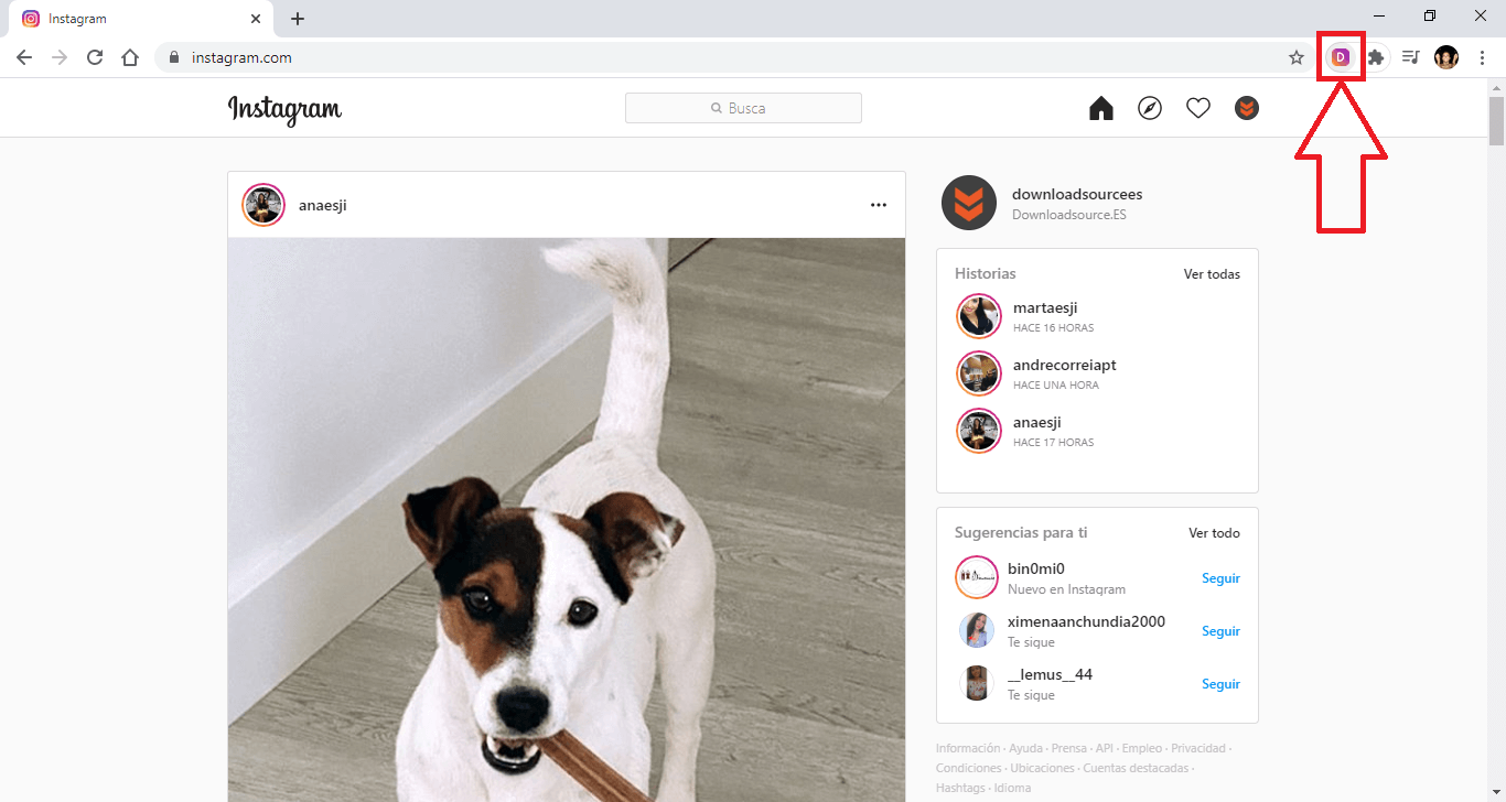 how to watch live videos or instagram igtv on your computer